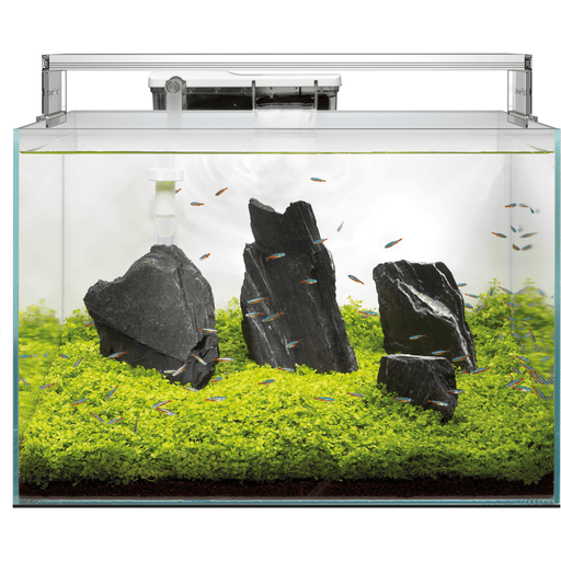 Superfish Aquariums Aquarium Scaper 90 - 90L - Superfish 8715897312502 A4051810