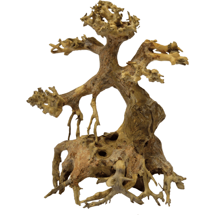 Superfish Bonsai XS 8715897304248 A4080095