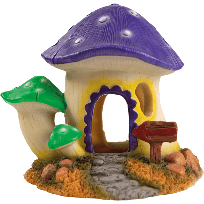Superfish Deco Maisons Champignons M - Superfish A4021510