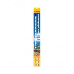 Superfish Éclairage pour aquariums Sera LED Cool Daylight - Led pour Aquarium