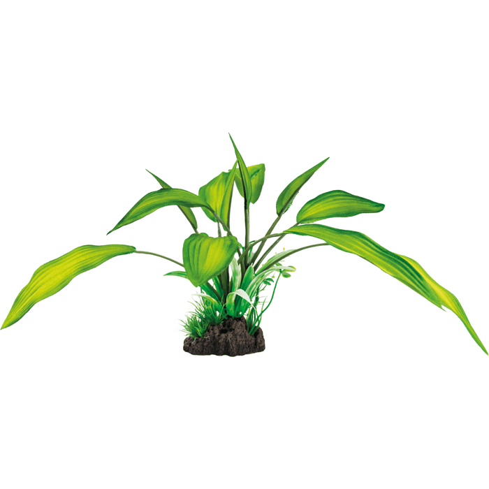 Superfish SF Art Plant Cryptocoryne (25cm) 8715897319914 A4070800