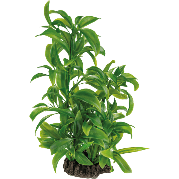 Superfish SF Art Plant Dracaena (25cm) 8715897319921 A4070805
