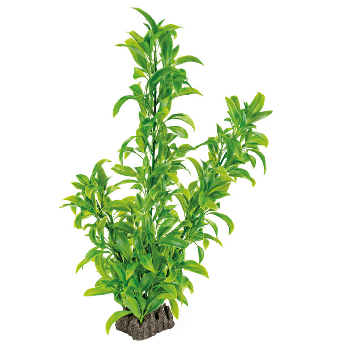 Superfish SF Art Plant Dracaena (40cm) 8715897320057 A4070870