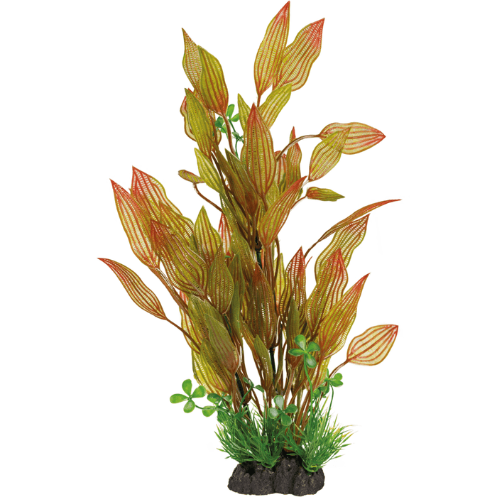 Superfish SF Art Plant Henkelianus (40cm) 8715897320071 A4070880