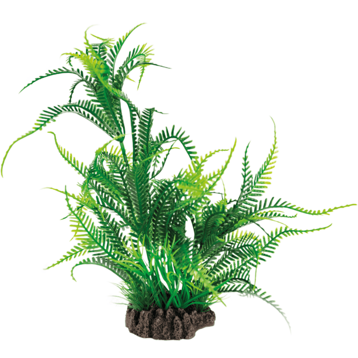Superfish SF Art Plant Microsorum (25cm) 8715897319976 A4070830