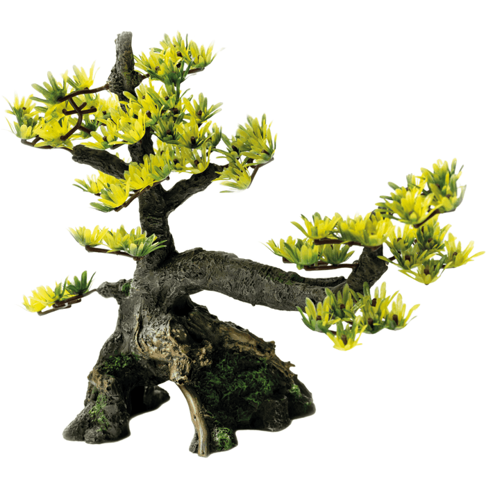 Superfish SF Deco Bonsai M 8715897319860 A4080310