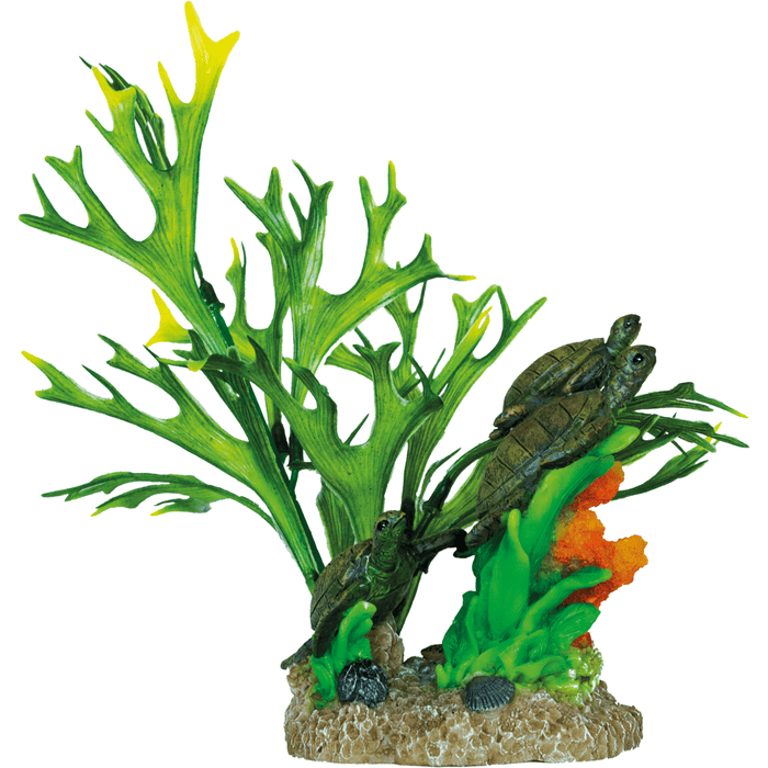 Superfish SF Deco Jardin de Tortue 8715897312359 A4021460