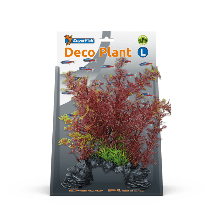 Superfish SF Deco Plante L Cabomba Rouge 8715897305306 A4070525