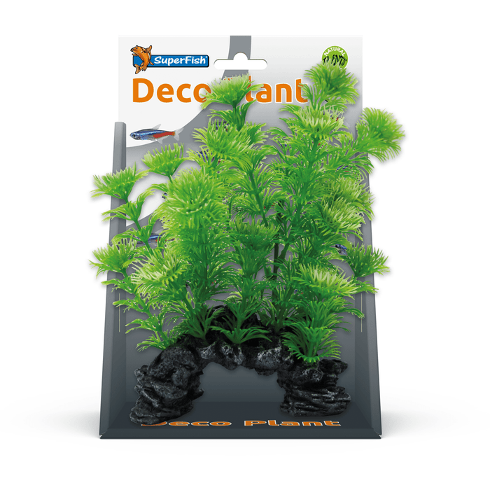 Superfish SF Deco Plante S Cabomba 8715897305269 A4070505