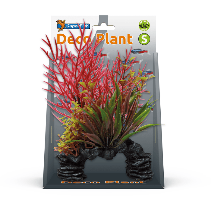 Superfish SF Deco Plante S Ludwigia 8715897305283 A4070515