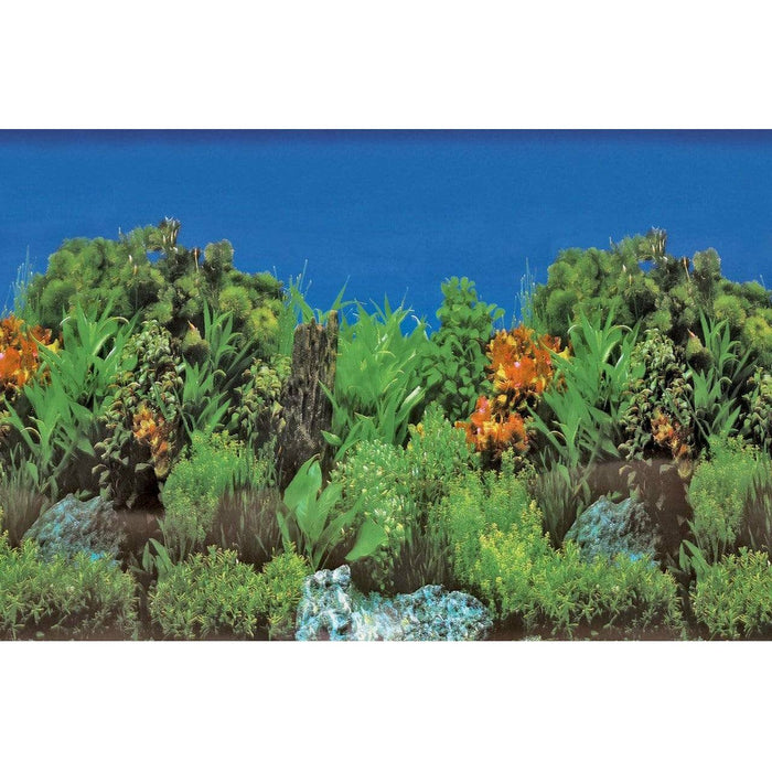 Superfish Poster d'aquarium SF Deco Posters B2 Roches,Plantes 60X49 Cm 8715897291586 A4072040