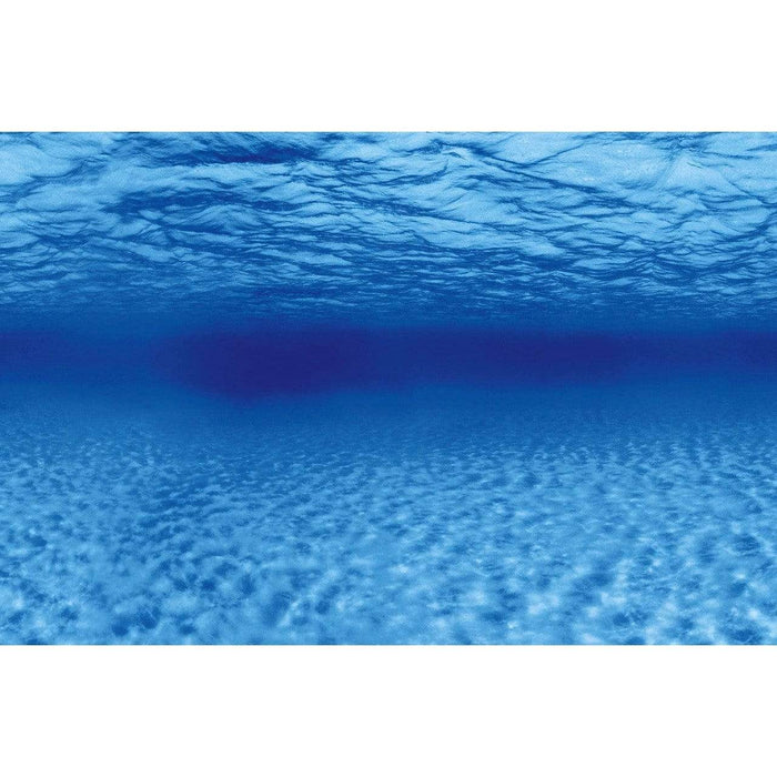 Superfish Poster d'aquarium SF Deco Posters F2 Poissons dans récif 60X49 Cm 8715897291821 A4072160