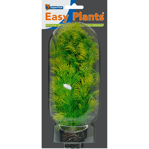 Superfish SF Easy Plante moyenne N°5 (20cm) 8715897164989 A4070235
