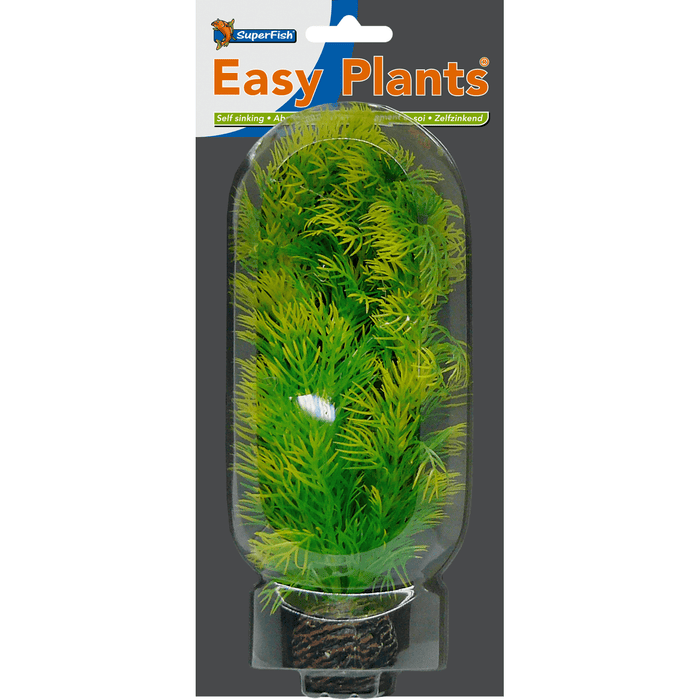 Superfish SF Easy Plante moyenne N°5 (20cm) 8715897164989 A4070235