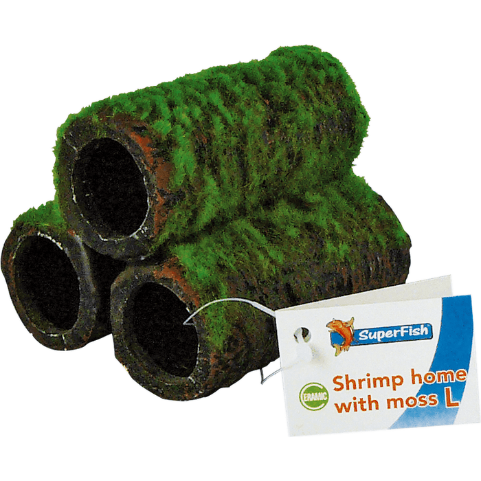 Superfish SF Shrimp Home Crevette avec mousse L 8715897200540 A4040490