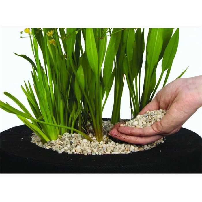 Velda Galets Blancs 8L - Pond Gravel 8711921008700 123260