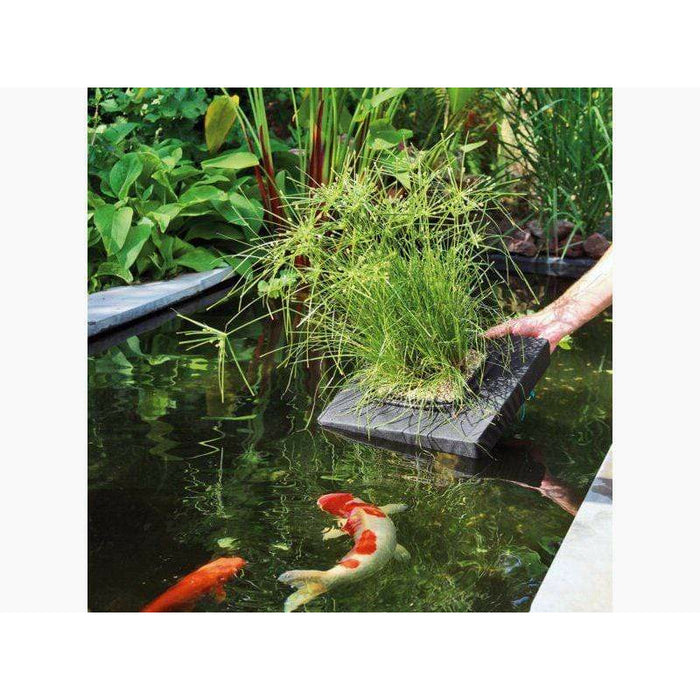 Velda Paniers de plantation Panier de plantation flottant carré de 25CM - Velda 8711921208094 127577