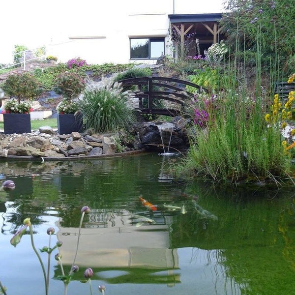 Le bassin de Jacques H., photo envoyée avec son avis