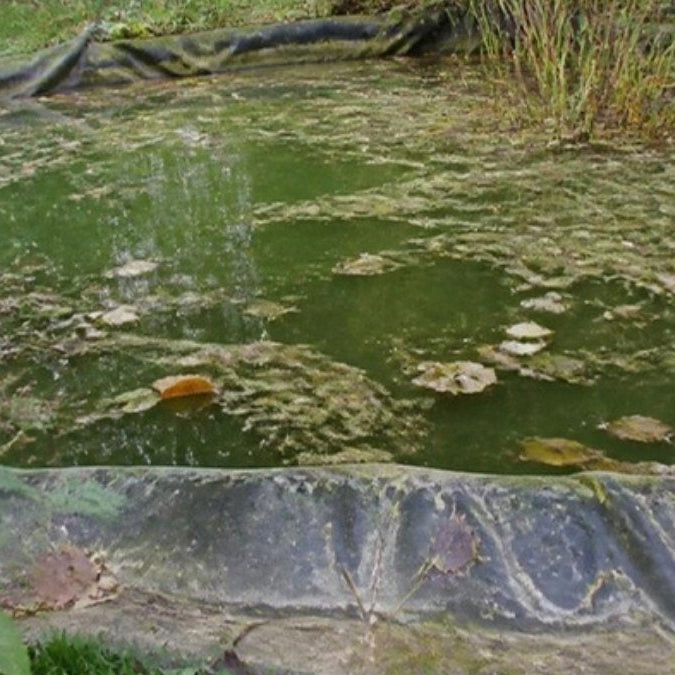 Rénover un vieux bassin de jardin – Foudebassin