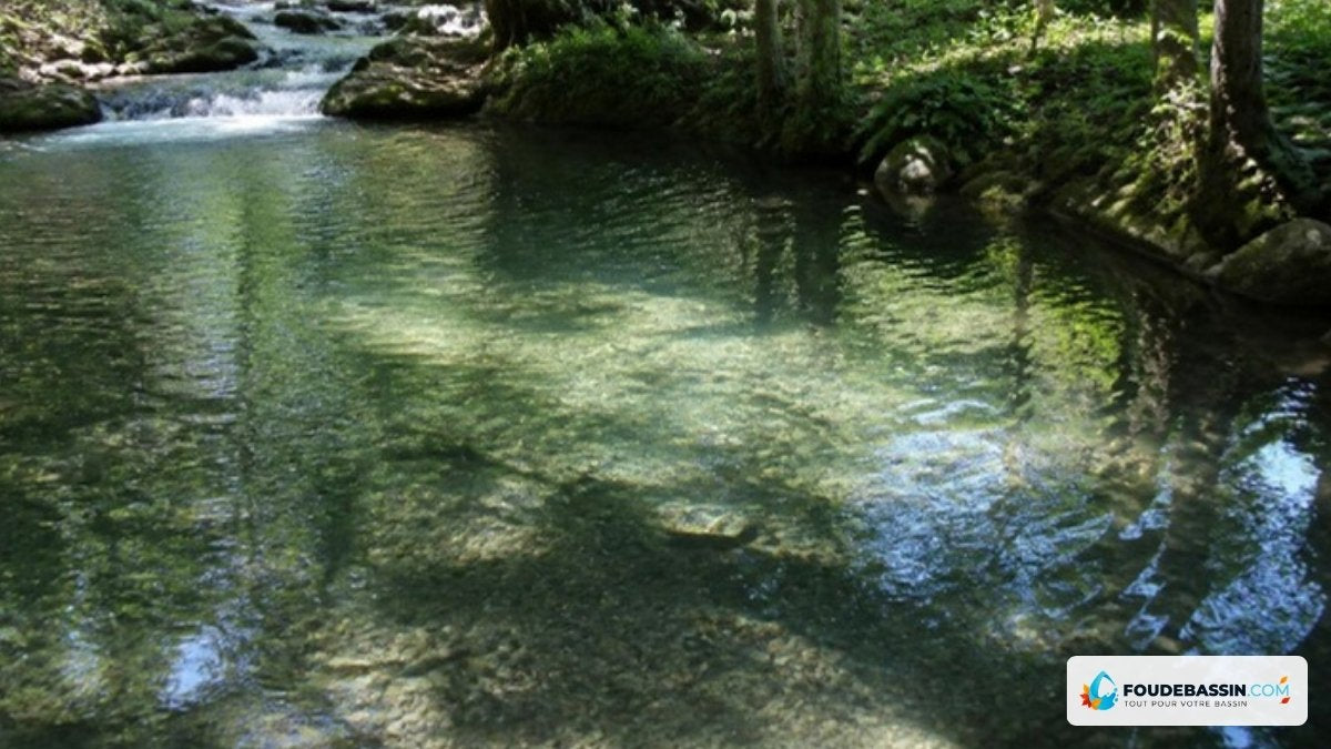 Étang à truites alimenté par une eau vive, fraîche et ombragée