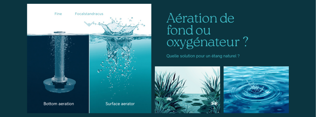 Aération de fond ou oxygénateur de surface : quelle est la meilleure solution pour un étang naturel ?