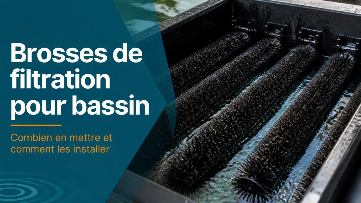 Brosses de filtration pour bassin : combien en mettre et comment les installer