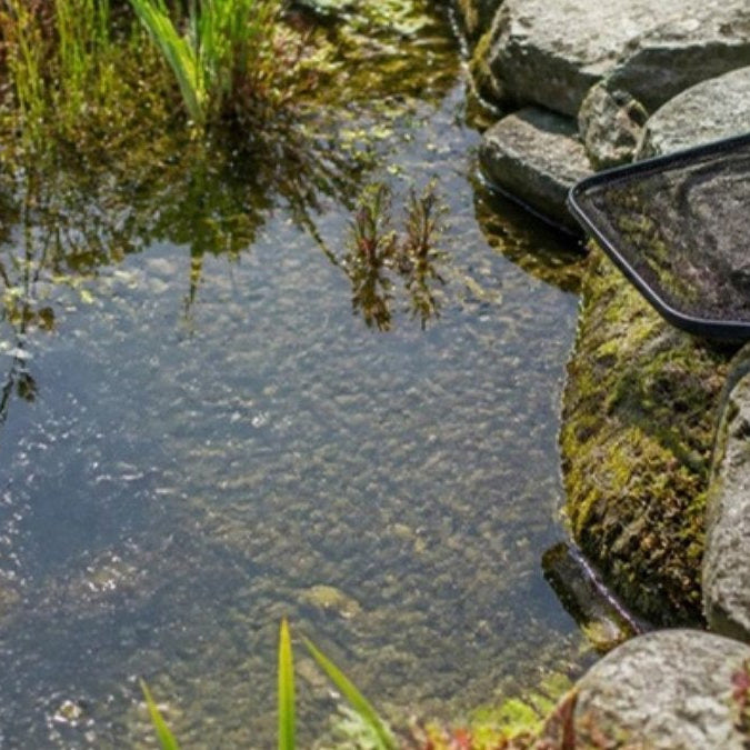 Nettoyage d'un bassin de jardin avec une épuisette à mailles fines – Foudebassin