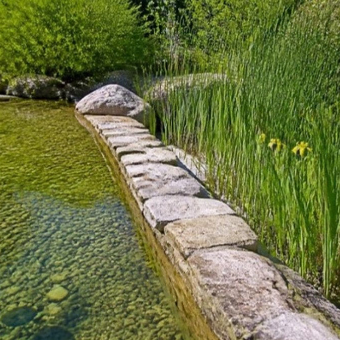 Bassin à l'eau claire bordé d'une zone de filtration plantée – Foudebassin