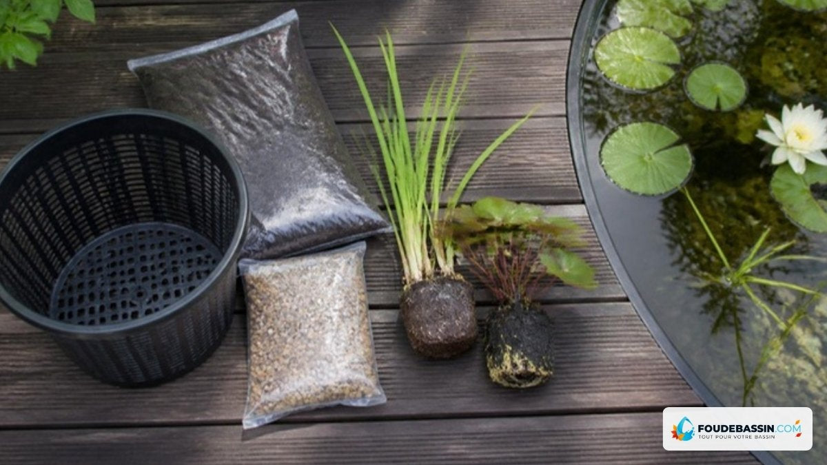 Kit de plantation pour bassin avec panier, terreau et gravier – Foudebassin