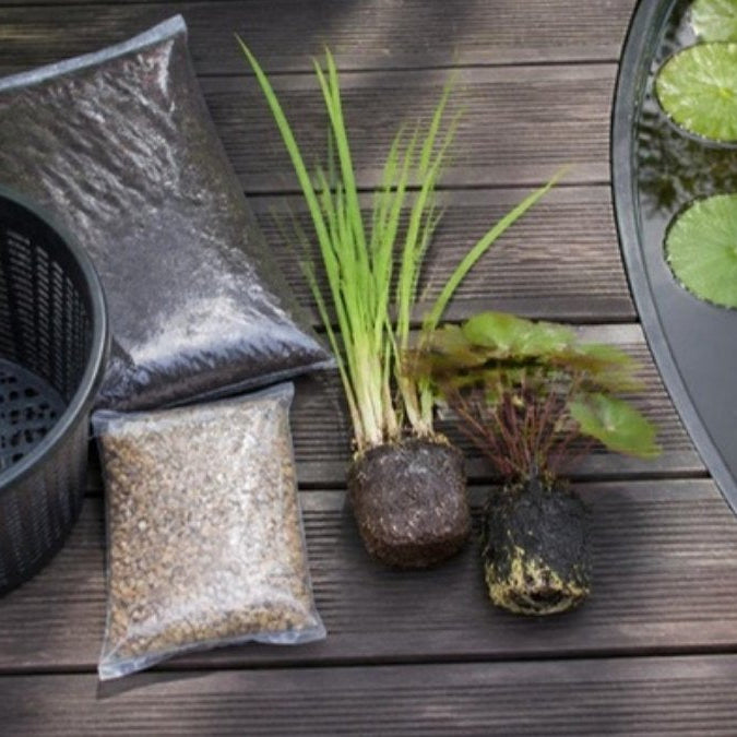 Kit de plantation pour bassin avec panier, terreau et gravier – Foudebassin