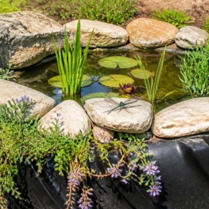 Mini-bassin dans un pneu agricole, planté et habillé de pierres – Foudebassin