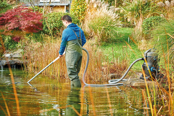 Les bons gestes pour un bassin / étang en automne