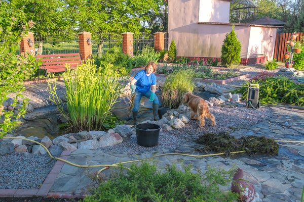 How to remove silt from a pond without a vacuum?