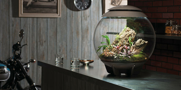 Comment changer le filtre d'un aquarium biorb?