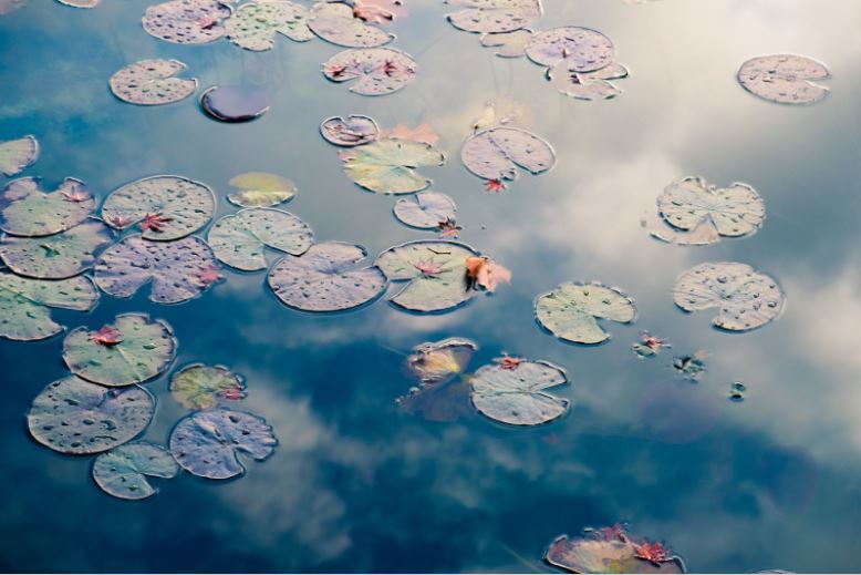 Comment refroidir son eau en été?