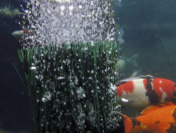 Which bubbler (air pump) should I choose for my aquarium or pond?