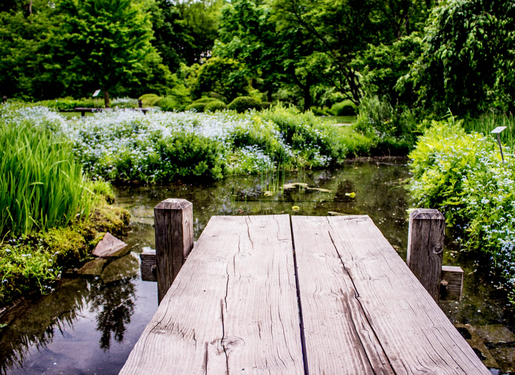 Comment créer un bassin naturel?