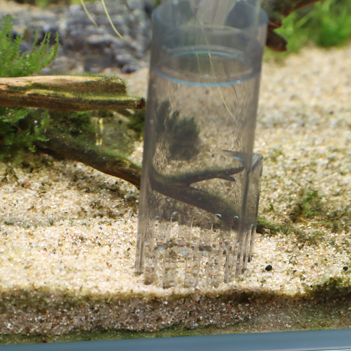 Comment enlever les déjections de l'aquarium sans aspirer le sable?