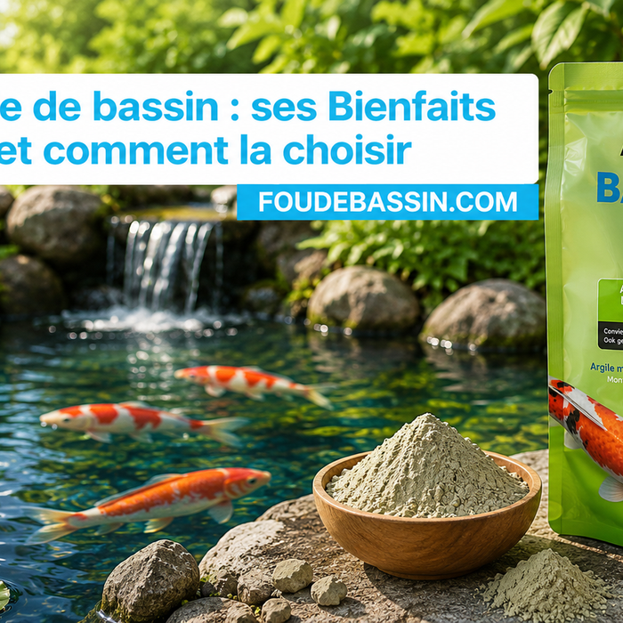 Argile de bassin : ses Bienfaits et comment la choisir