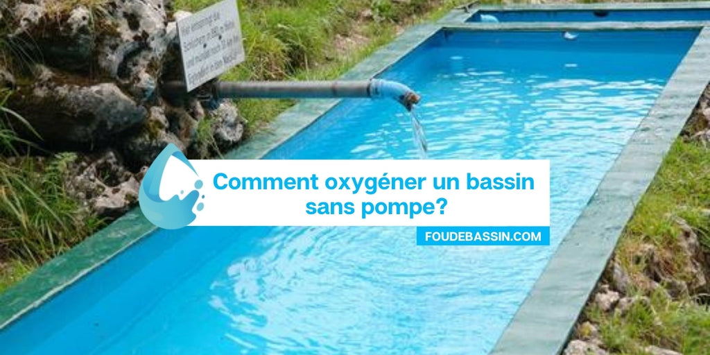 Pourquoi faut-il laisser tourner sa pompe à air (bulleur) dans son bassin  en hiver? -  - Blog spécialisé en bassin de jardin, étang &  piscine naturelle.