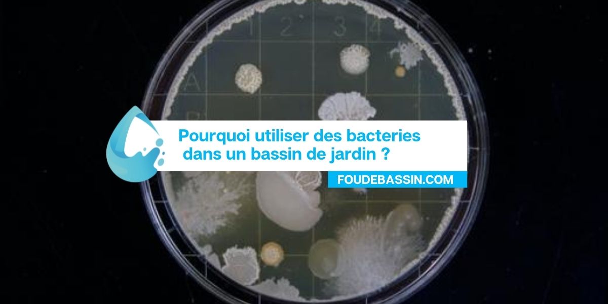 Pourquoi utiliser des bacteries dans un bassin de jardin