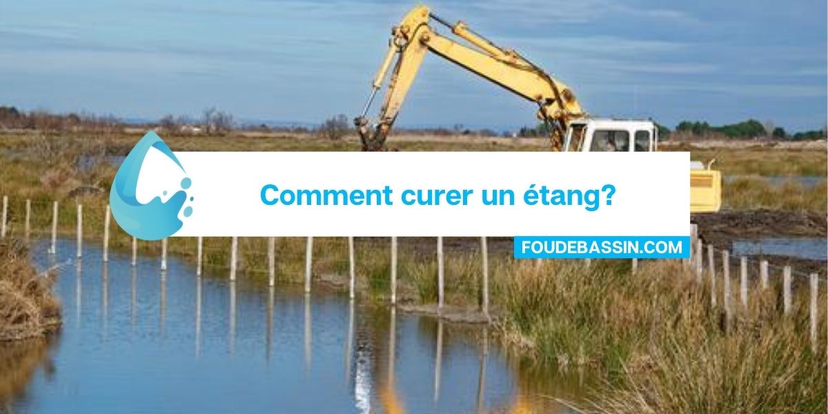 Comment curer un étang?
