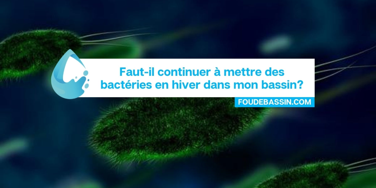 Faut-il continuer à mettre des bactéries en hiver dans mon bassin?