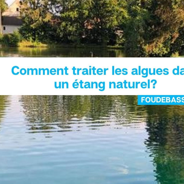Comment traiter les algues dans un étang naturel ?