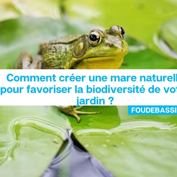 Comment créer une mare naturelle pour favoriser la biodiversité de votre jardin ?