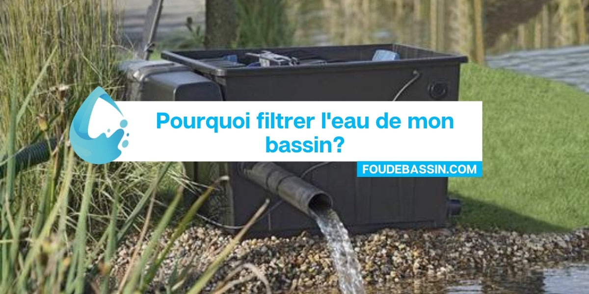 Pourquoi filtrer l'eau de mon bassin?