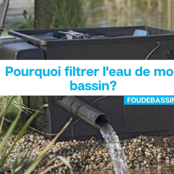 Pourquoi filtrer l'eau de mon bassin?