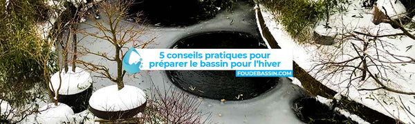 Préparer son bassin pour l'hiver : 5 conseils pratiques pour une saison froide sereine