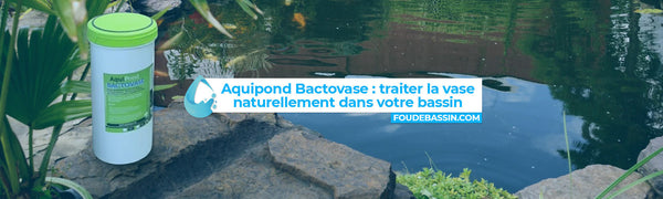 Bactovase : une solution efficace pour nettoyer la vase