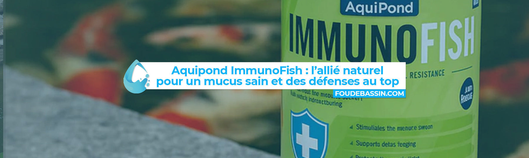 Aquipond ImmunoFish : l’allié naturel de vos koïs pour un mucus sain et des défenses au top